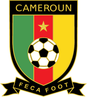foto de equipo para Camerun